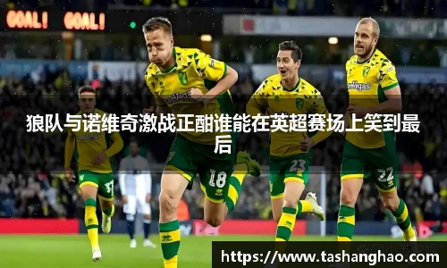 狼队与诺维奇激战正酣谁能在英超赛场上笑到最后